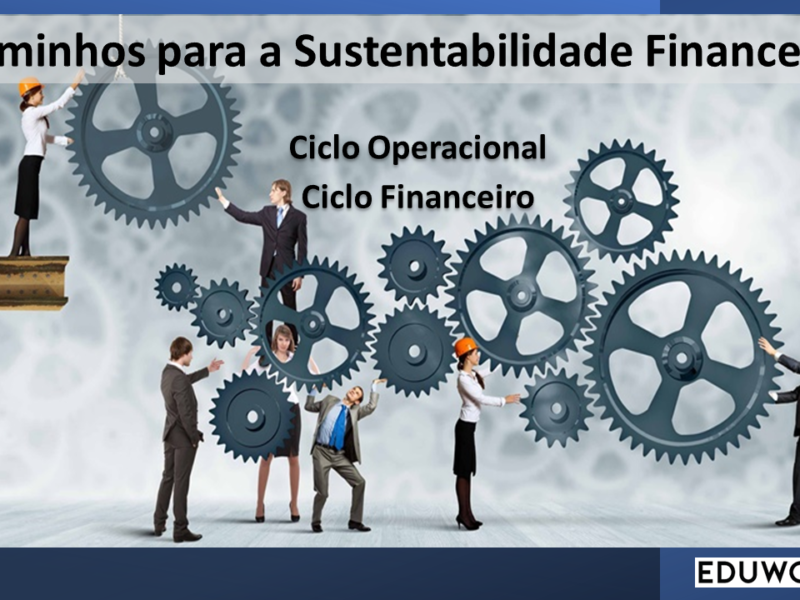Gerenciamento Eficiente de Recursos: Caminhos para a Sustentabilidade Financeira