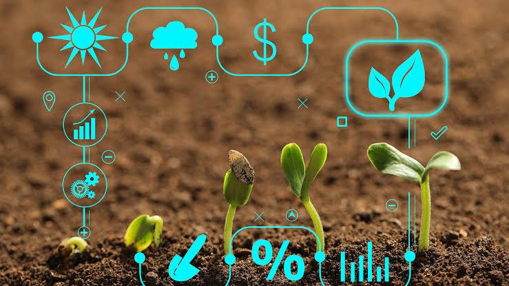 A Base da Excelência no Agronegócio: Processo Contábil Claro e Decisivo